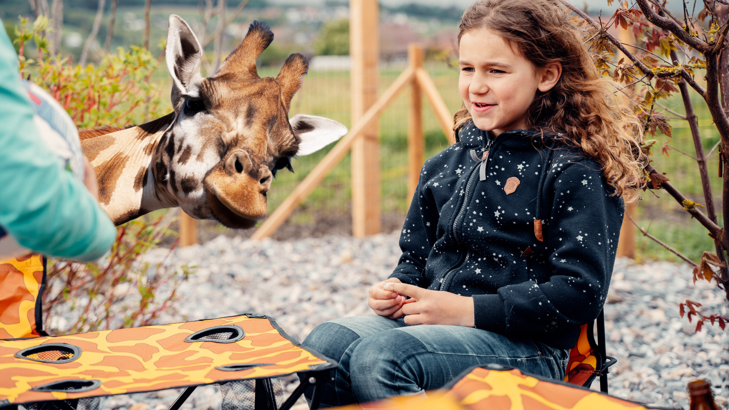 Moodbild Zebraffo Campingmöbel Giraffe
